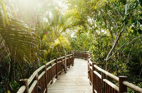 Ejidal Resort | Mayan palace Beautiful suite, Hot tub, deck, bars, spa, amazing water park, etc.