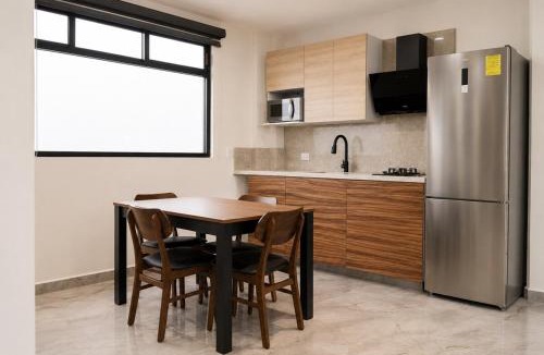 San Martin Texmelucan Apartment | Loft Ejecutivo San Martin Centro Wifi Tv 65