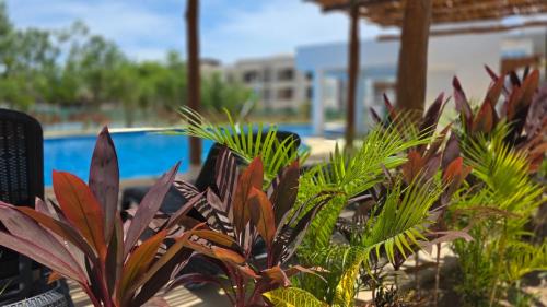 Cancun Apartment | New Casa Flores in Polígono Sur with pool