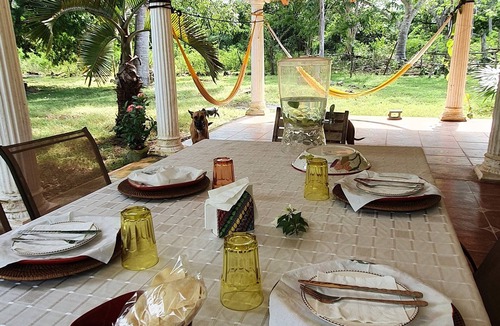 Santa Cruz House | Old yucateca hacienda with private cenotes and horses included, animals allowed