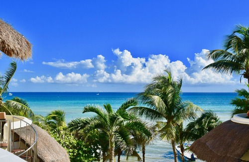 Centro Apartment | Playa Palms, Garden View beautiful studio 107