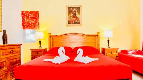 Playacar House | Playacar - Executive Budget Room With Swimming Pool Air Conditioning and Parking
