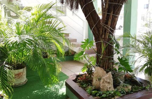 Cancun Apartment | Quetzal Loft