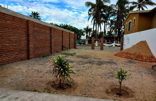 Puerto San Carlos Apartment | Rent per day, per week, (with special rates for rentals per month or year).