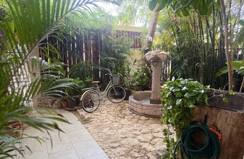 Luis Donaldo Colosio Apartment | Studio only 5 minutes from the beach. Surrounded by nature.