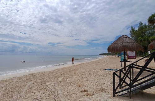 Luis Donaldo Colosio Apartment | Studio Sofia, a few steps from 88 Blue Flag Beach, (pets allowed).