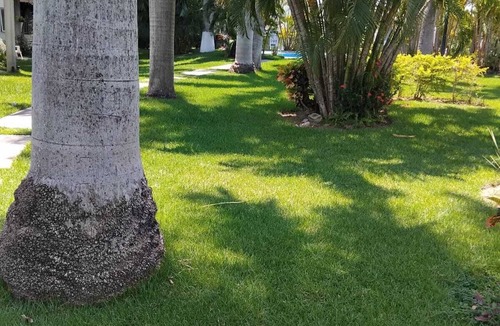 Valle Dorado House | Superb 2-bedroom townhome in charming Mezcales - minutes to beach