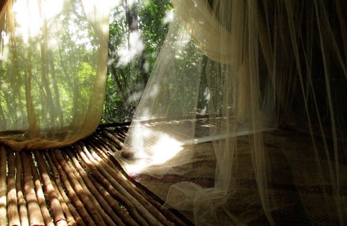 Macario Gomez Cabin | the BAREFOOT jungle loft
