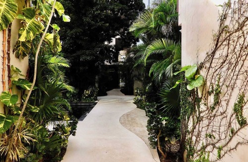 Tulum Apartment | This stylish, art-inspired Tulum condo with private pool access, lush garden vibes, and all the comforts you need for a memorable stay in paradise — perfect for couples or solo travelers.