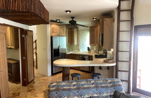 Downtown Condo | Three Story Luxury Penthouse w/Private Rooftop Jacuzzi