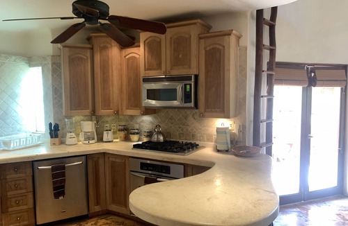 Downtown Condo | Three Story Luxury Penthouse w/Private Rooftop Jacuzzi
