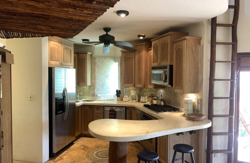 Downtown Condo | Three Story Luxury Penthouse w/Private Rooftop Jacuzzi