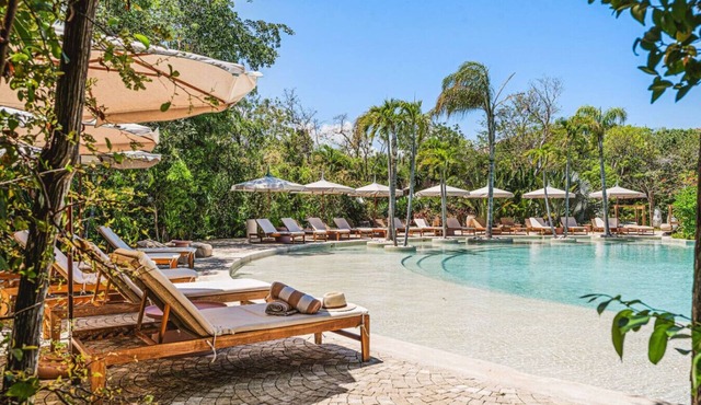 1BR Jungle Dream w Private Pool | Gym Access & Yoga Class