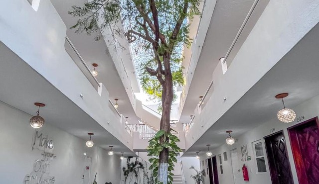 Ahava Hotel