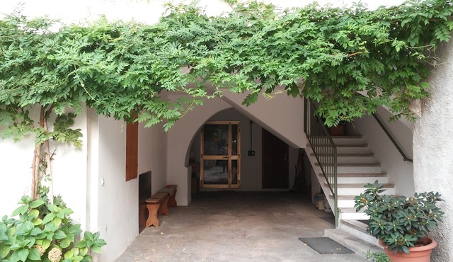 Apartment Masi - Olga (COD CIN IT022243C2SQVZKIIR) in Lasino