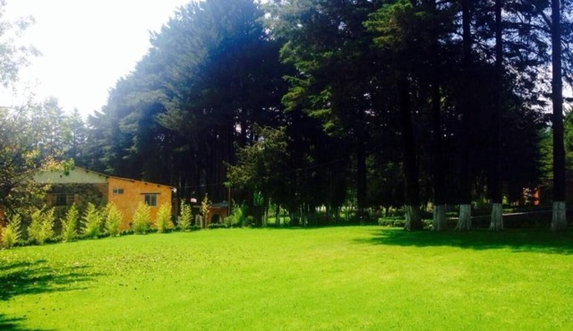 CABIN FOR 4 PEOPLE #2 @JARDIN RINCON DE LAS ESTRELLAS