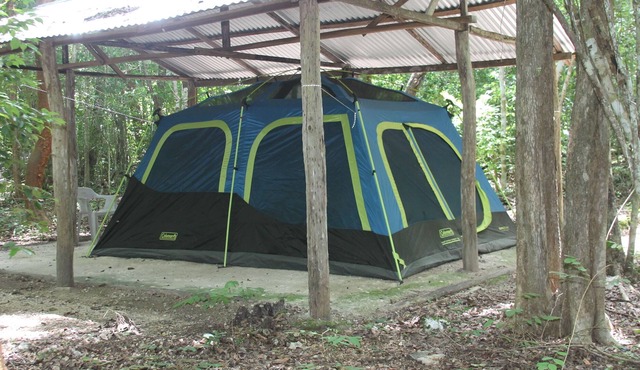 Campamento Yaaxche en Calakmul
