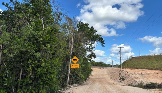 Camping and RVs Selva Maya