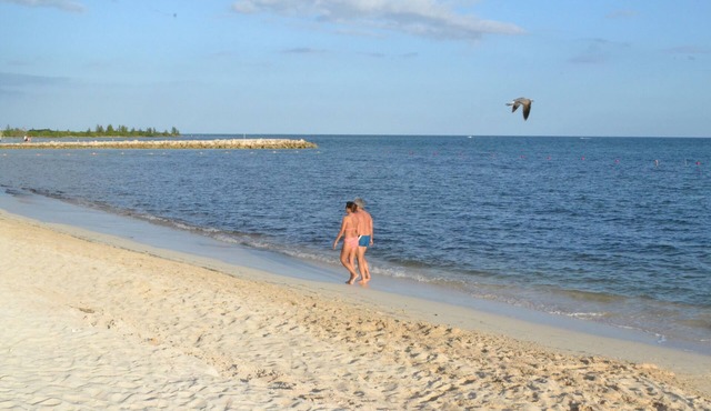 Caribbean beach resort condo with the Endless Luxury All Inclusive Plan.