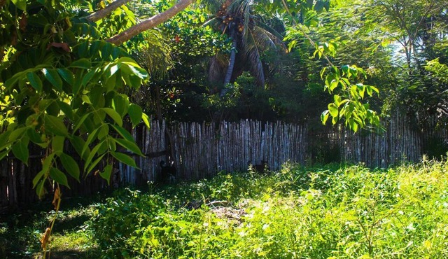Casita Kuxtal El Cuyo