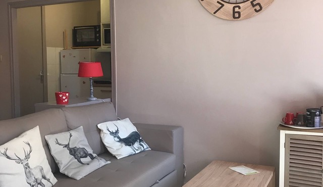 Charming apartment in the heart of Barcelonnette in Barcelonnette