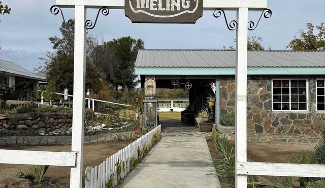 Cozy Cabin Retreat at Rancho Meling Baja #2