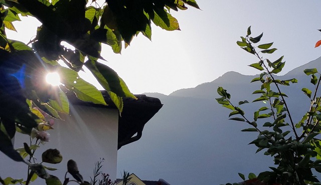 Hidden Gem in Trentino Authentic Alpine Stay in the Dolomites with AC in Mattarello