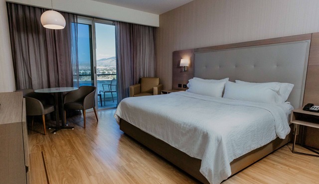Hilton Garden Inn Silao Aeropuerto Bajio