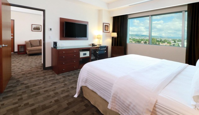 Holiday Inn Leon Plaza Mayor by IHG