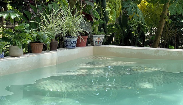 House in the jungle 2 BEDROOMS, EQUIPPED KITCHEN & ALBERCA