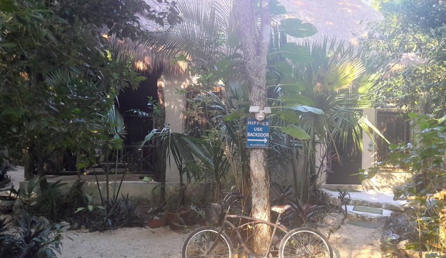 Jungle house.in Mcario Gomez 19 km outside of Tulum.