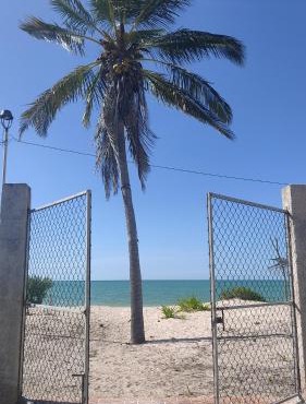 LA CHOZITA DEL MAR