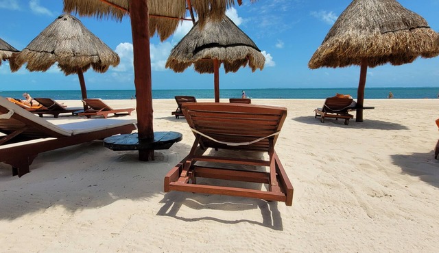 Luxurious Apartment La Amada Ocean View