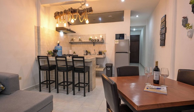 Luxury Cozumel Entire Modern 2br 2 bath Oasis on Cozumel Scuba Diving Mecca w.