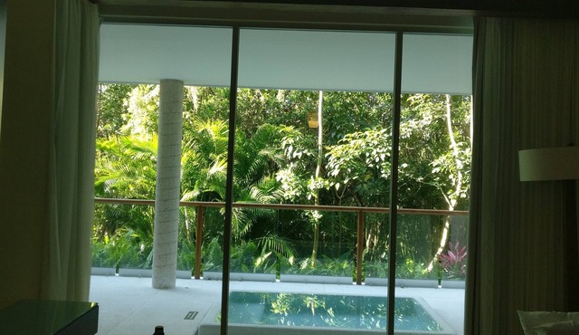 The Grand Mayan; Luxury in a Beautiful Jungle with Warm, Sunny Beaches!