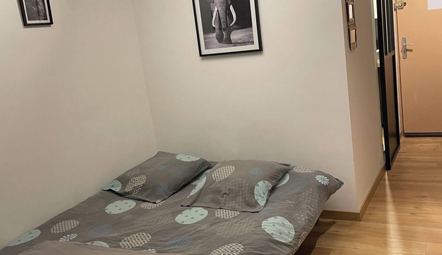 NEW STUDIO. close to center ville.vu mountain. in Barcelonnette