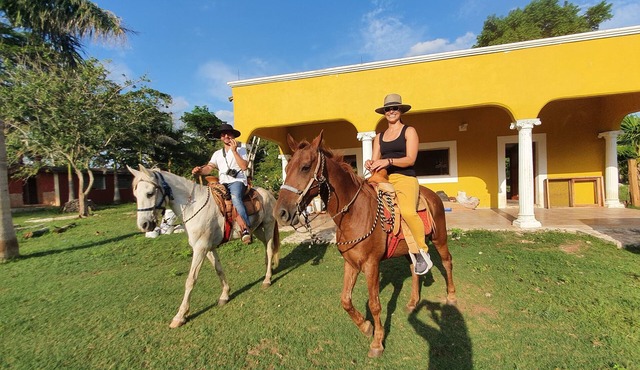 Old yucateca hacienda with private cenotes and horses included, animals allowed
