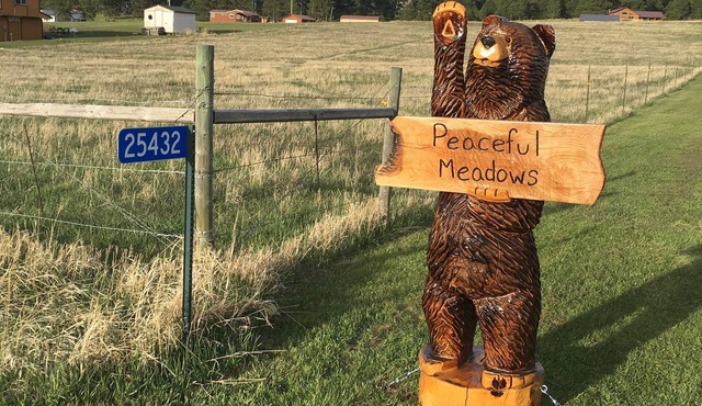 Peaceful Meadows in Custer