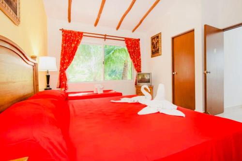 Playacar - Executive Budget Room With Swimming Pool Air Conditioning and Parking