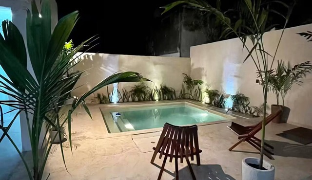 RAE4sixty apts with pool, near Paseo Montejo1