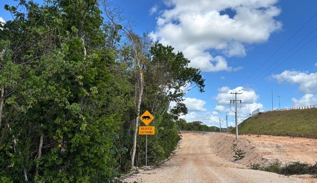 Selva Maya Camping and RVs