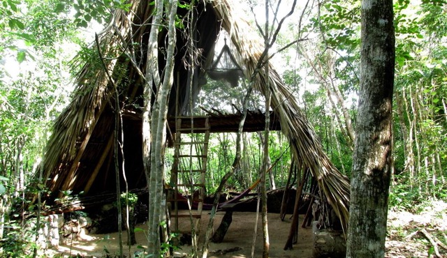the BAREFOOT jungle loft