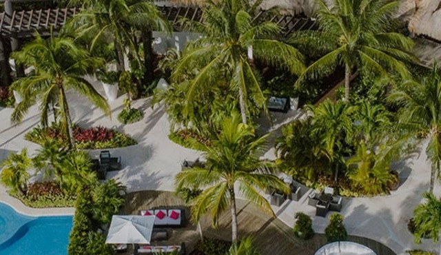 Unveiling the Extravagance of Vidanta Grand Luxxe's 1 Br Suite in Riviera Maya