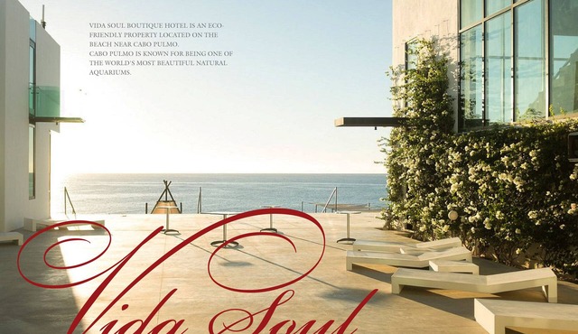 VidaSoul Hotel - Beachfront Baja - Escape Groups & Retreats