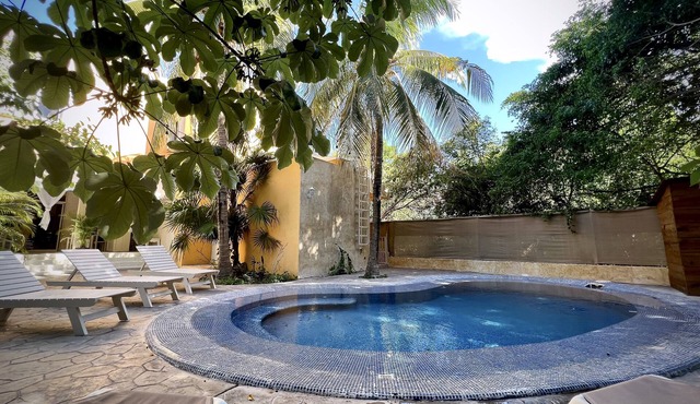 Villa Marea Playacar, Organic Home, Private Pool,10 Minutos de la Playa y Centro