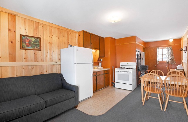 Cozy dog-friendly lodge with kitchen, entertainment, ski access & shared grill in South Fork