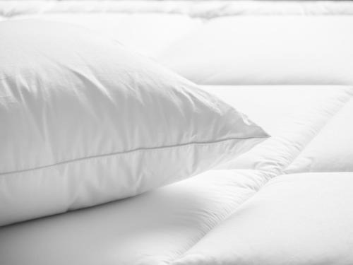Holiday Inn Ihg Hotel 