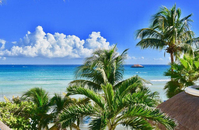 Playa Palms, Garden View beautiful studio 107