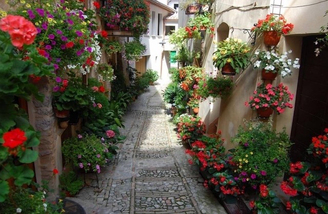 Spello 