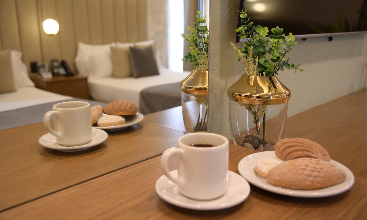 Lagos de Moreno Hotel | Hotel Victoria